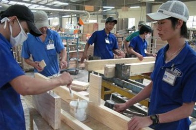 Lâm Đồng hỗ trợ  doanh nghiệp áp dụng công cụ nâng cao năng suất